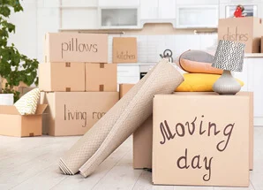 Moving Day - Vanlinesmove Blog